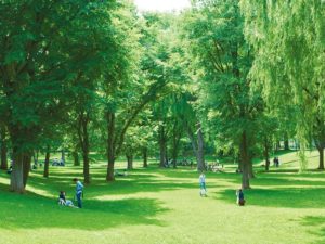 北海道大学の食堂・学食に行ってみた！【札幌・旅行】