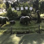 札幌市円山動物園への行き方・楽しみ方【北海道】
