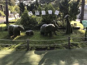 札幌市円山動物園への行き方・楽しみ方【北海道】