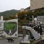 札幌駅からバスで70分!定山渓温泉に行ってきた【北海道】