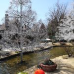 箱根ガラスの森美術館への行き方と魅力【神奈川観光】