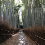 竹林の小径(竹林の道)への行き方・アクセス【京都嵐山・観光】