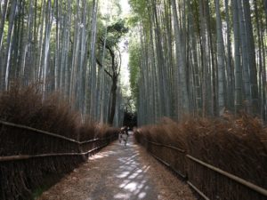 竹林の小径（竹林の道）への行き方・アクセス【京都嵐山・観光】
