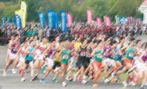 【第103回箱根駅伝予選会2027】結果リザルト＆予想の答え合わせ
